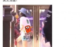 刘大锤最新爆料宋茜视频,精彩瞬间引网友热议