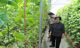 有哪些吃瓜免费的网站,盘点那些让你畅享娱乐的免费网站